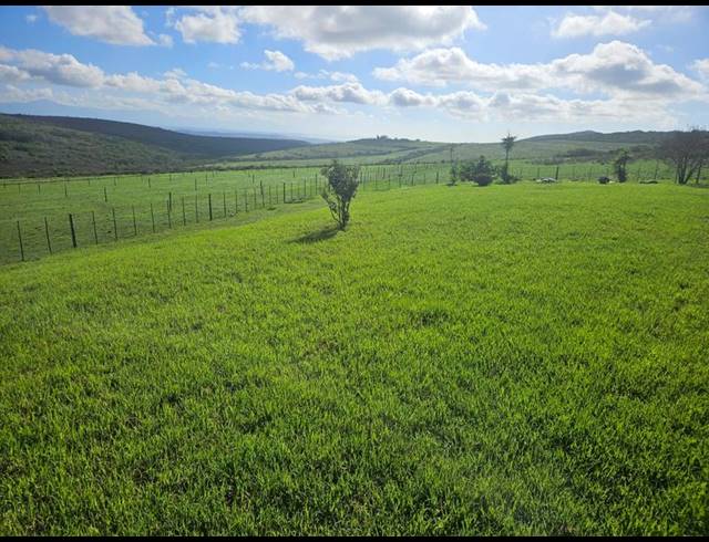 FARM FOR SALE IN MOSSEL BAY RURAL